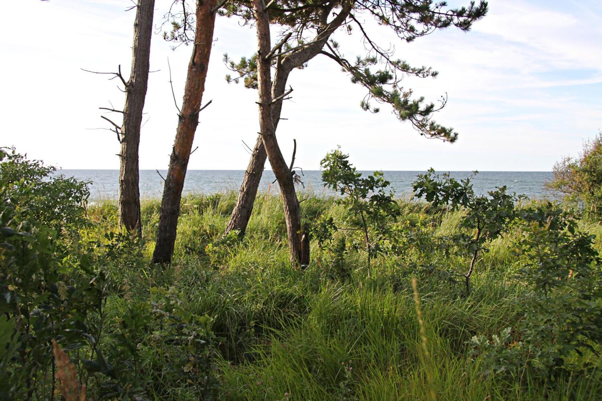 Let'S Sea - 2 Bedroom - Premium Baltic Apartment With Front Sea View Garden And Spa Access Gąski 外观 照片