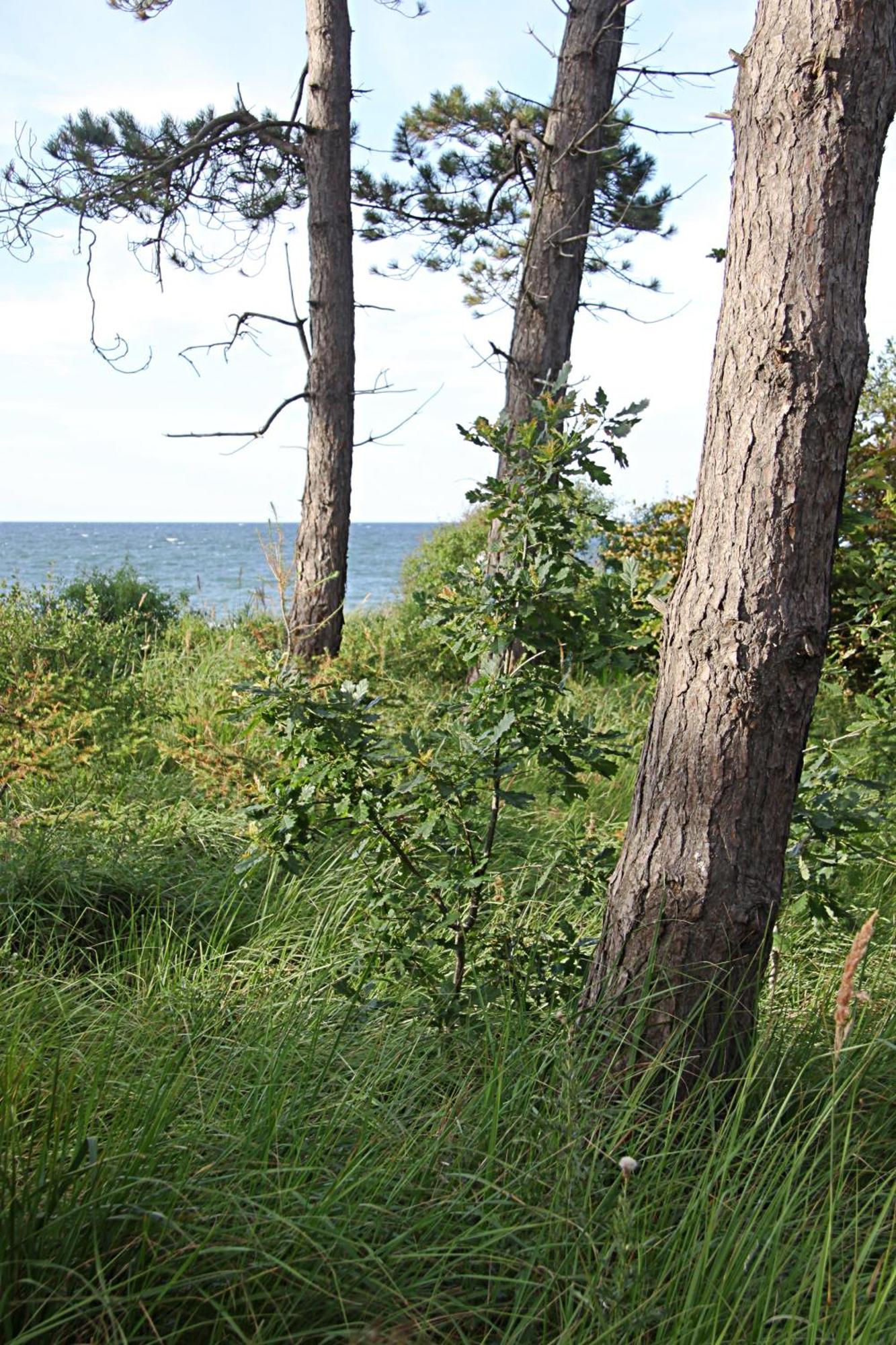Let'S Sea - 2 Bedroom - Premium Baltic Apartment With Front Sea View Garden And Spa Access Gąski 外观 照片