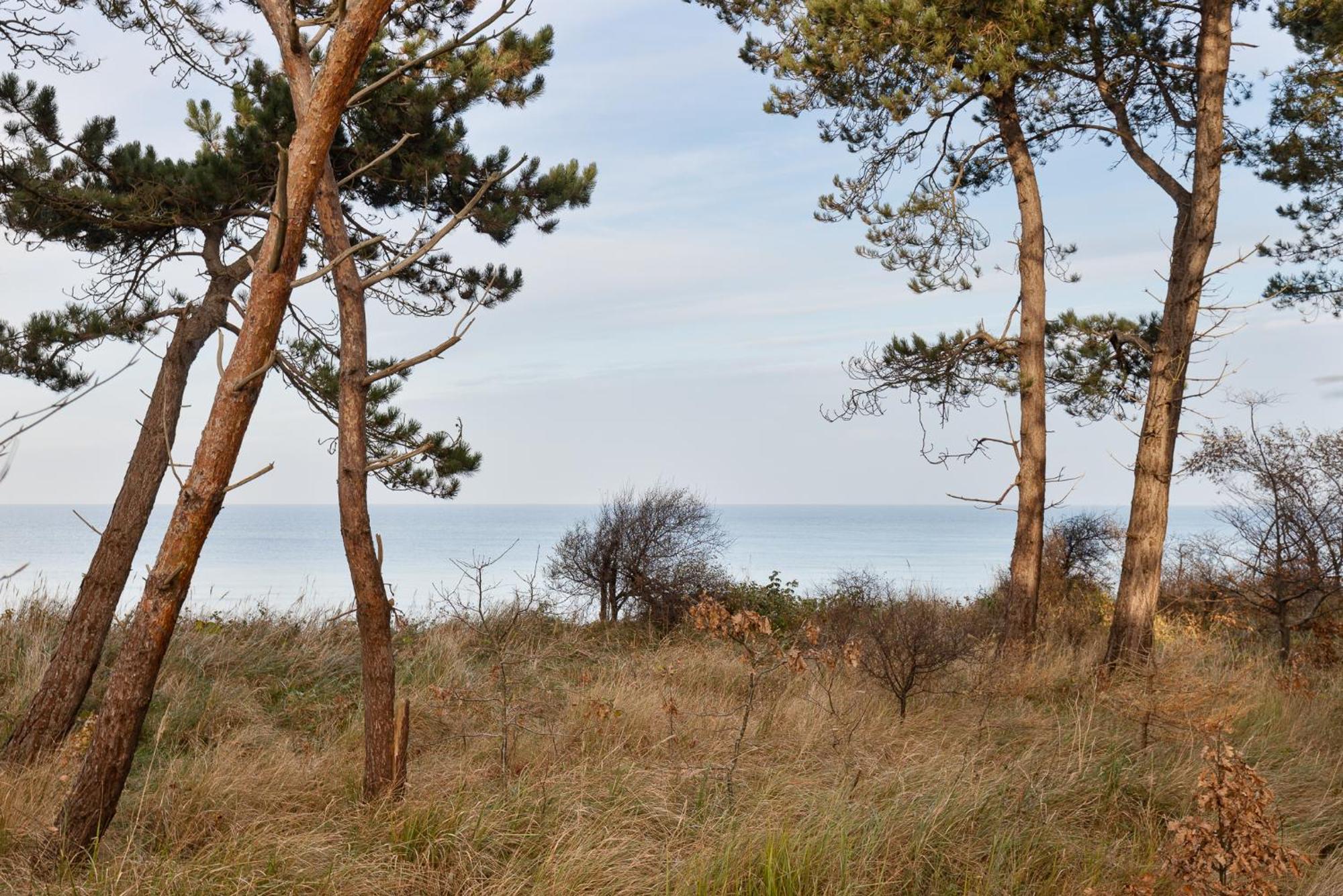 Let'S Sea - 2 Bedroom - Premium Baltic Apartment With Front Sea View Garden And Spa Access Gąski 外观 照片